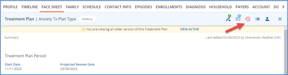 Red Client Treatment Plan History Version